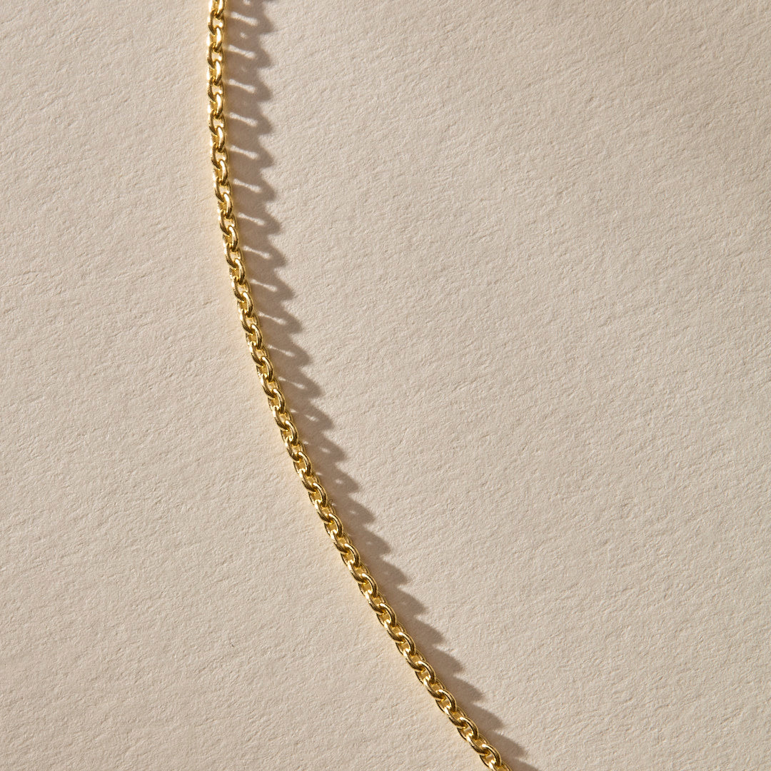 Collection Image