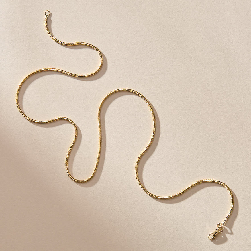 Jera Snake Chain Necklace