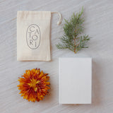 Temple Gift Set | Bronze