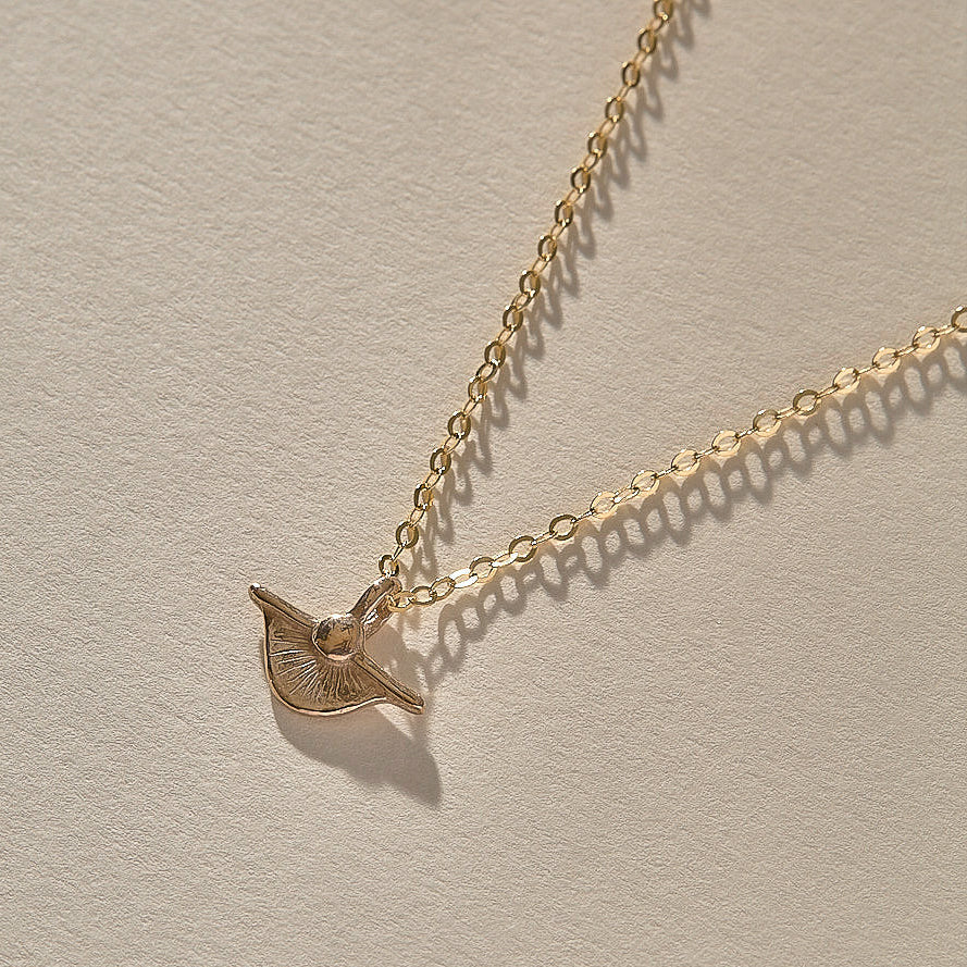 Collection Image