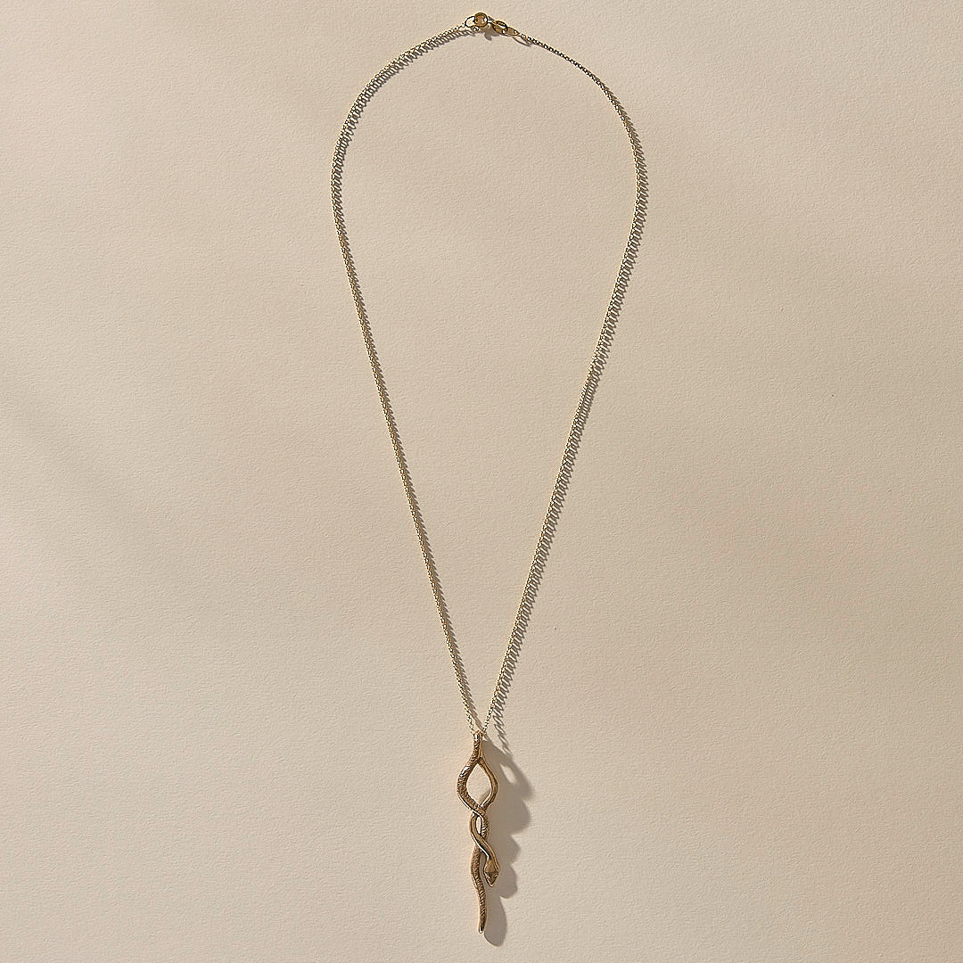 The Bronze Serpent Amulet Necklace