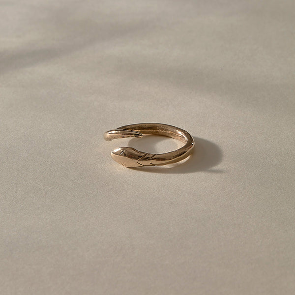The Bronze Serpent Ring