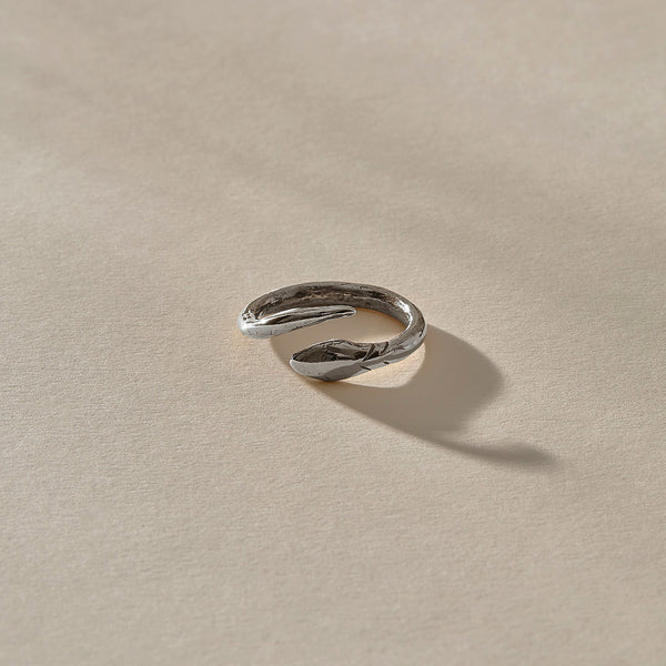 The Silver Serpent Ring