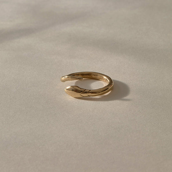 The Bronze Serpent Ring