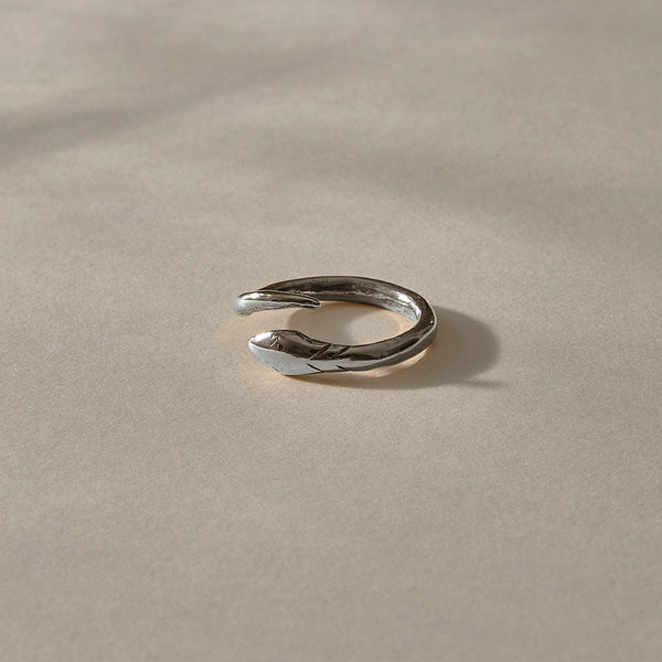 The Silver Serpent Ring