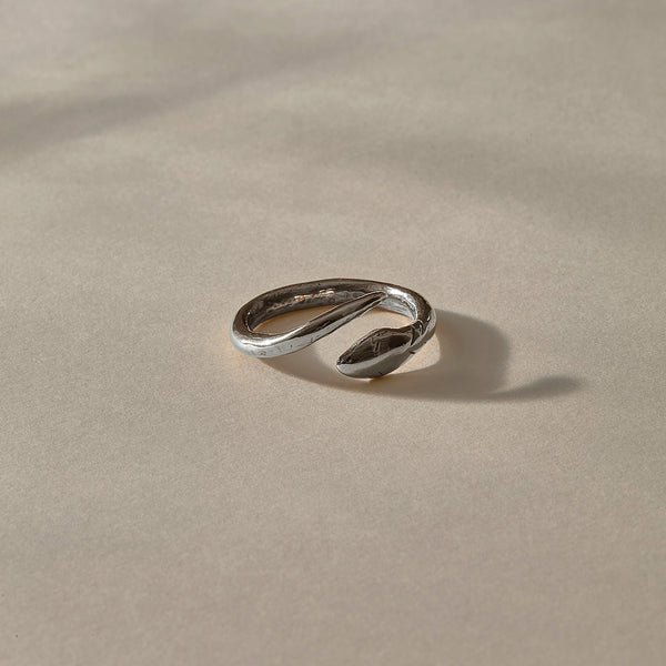 The Silver Serpent Ring